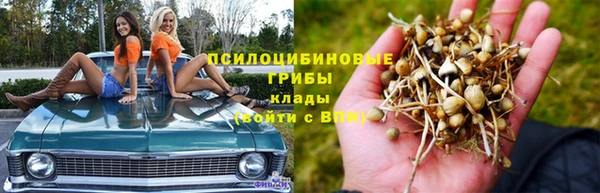 мяу мяу мука Верхнеуральск