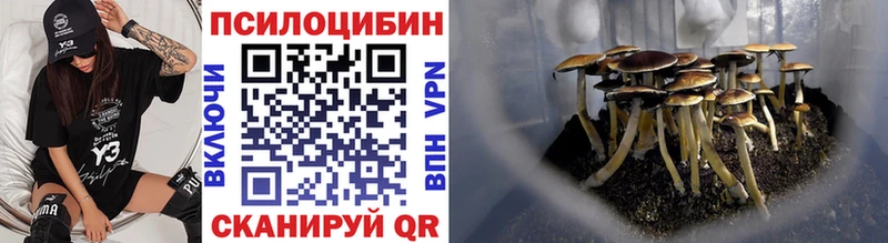 Псилоцибиновые грибы Cubensis  Таганрог 
